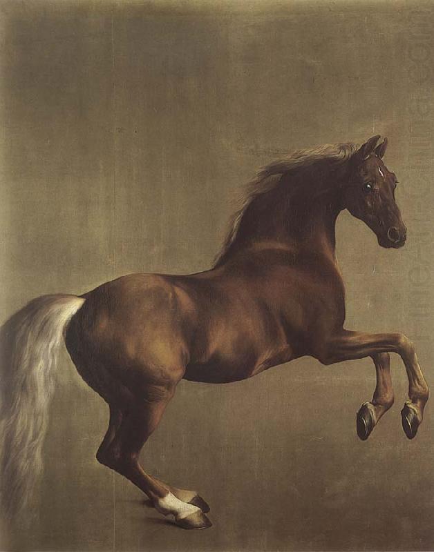 Whistlejacket, George Stubbs